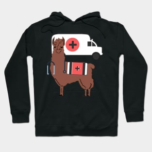 Alpaca Doctor Hoodie